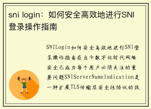 sni login：如何安全高效地进行SNI登录操作指南